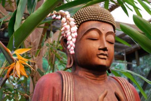 The Sacred Garden Buddha