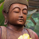 Sacred Garden Buddha with Hibicus
